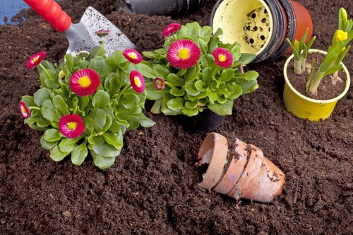 Garden landscaping project for a Clapham home with paved seating and planting