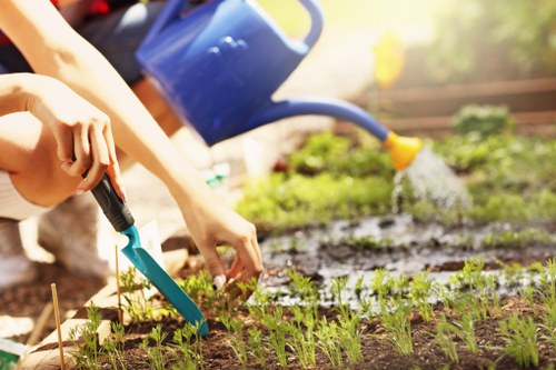Soft landscaping in Clapham for a residential garden with planting and turf