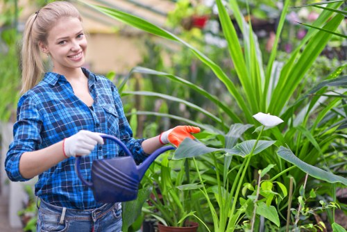 Outdoor garden design and landscaping in Clapham with structured planting
