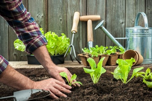 Landscape materials and planning notes for a garden project
