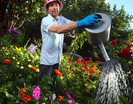 Accessibility support visual for landscaping website users