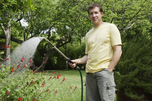 Clapham landscaping accessibility statement banner image