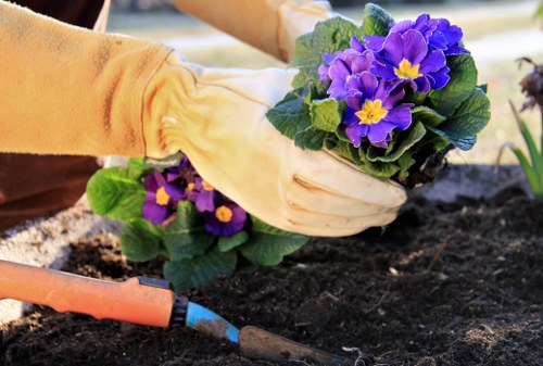 Site audit for ethical labour practices in landscaping