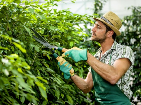 Recycled landscaping materials and peat-free products used in a sustainable garden project