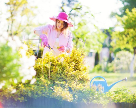Free quote policy for landscaping services in Clapham homes