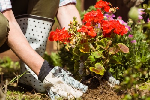 Trained landscaper using protective equipment on a garden project