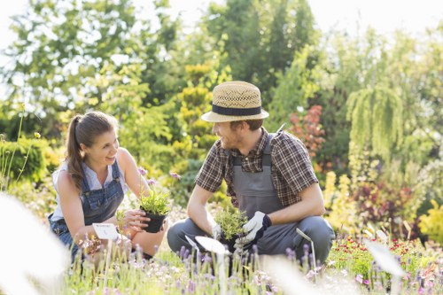 Hard landscaping and planting features in a Clapham garden setting